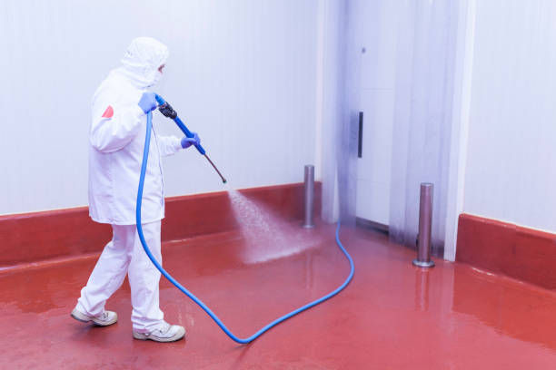 Best Concrete Surface Cleaning in Dike, IA