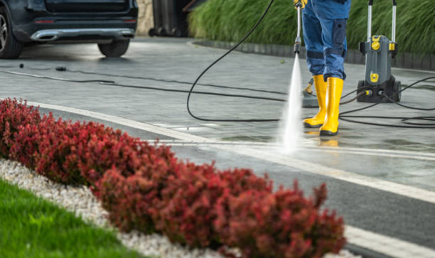 Best Vinyl Siding Pressure Washing in Dike, IA